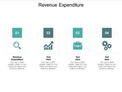 Revenue expenditure ppt powerpoint presentation slides clipart cpb