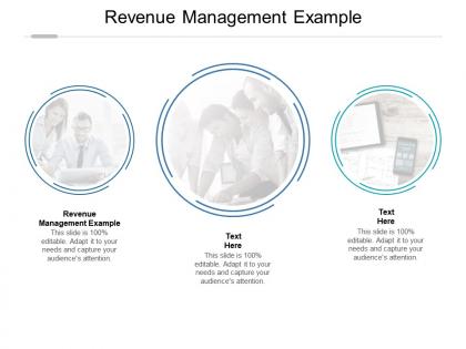 Revenue management example ppt powerpoint presentation summary slide download cpb