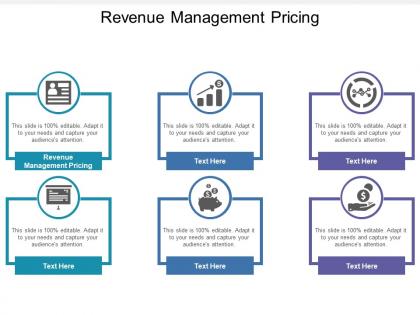 Revenue management pricing ppt powerpoint presentation gallery samples cpb