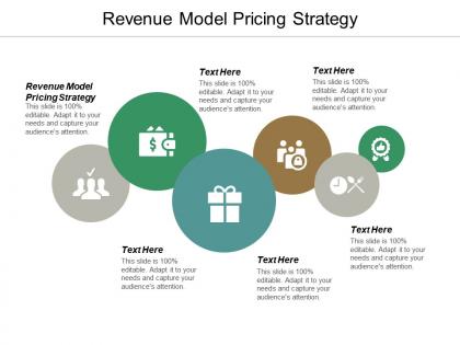 Revenue model pricing strategy ppt powerpoint presentation professional guide cpb