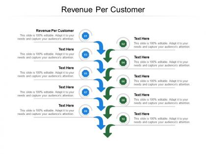 Revenue per customer ppt powerpoint presentation ideas example file cpb