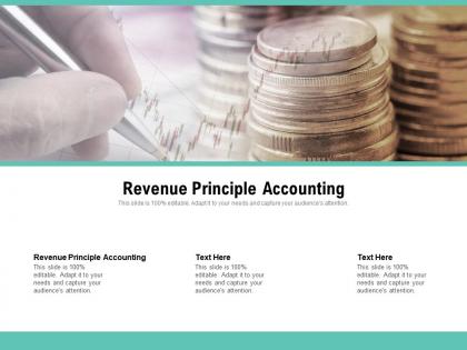 Revenue principle accounting ppt powerpoint presentation professional designs cpb