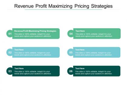 Revenue profit maximizing pricing strategies ppt powerpoint infographic design cpb
