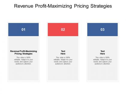 Revenue profit maximizing pricing strategies ppt powerpoint summary cpb