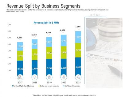 Revenue split by business segments raise funding after ipo equity ppt ideas