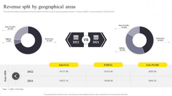 Revenue Split By Geographical Areas Ernst And Young Company Profile CP SS