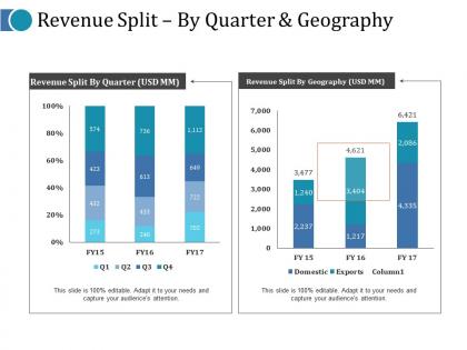 Revenue split by quarter and geography ppt rules