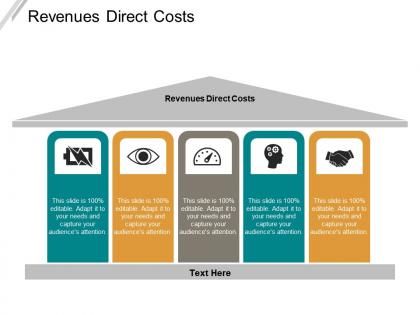 Revenues direct costs ppt powerpoint presentation icon slides cpb
