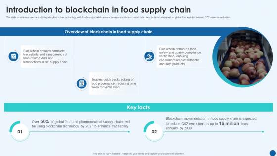 Revolutionizing Supply Chain Introduction To Blockchain In Food Supply Chain BCT SS