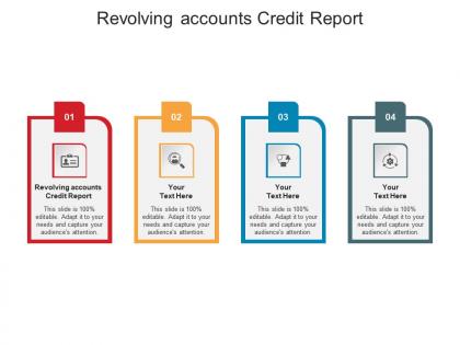 Revolving accounts credit report ppt powerpoint presentation styles samples cpb