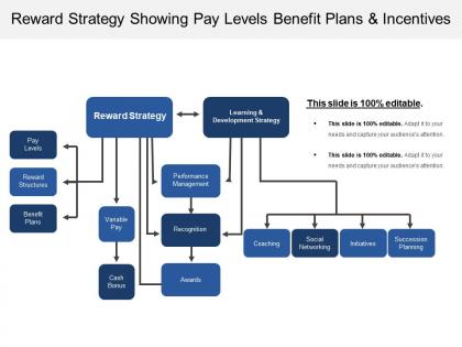Reward strategy showing pay levels benefit plans and incentives