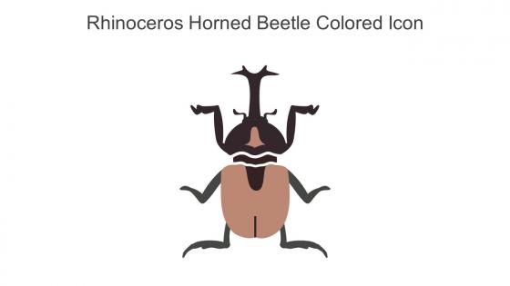 Rhinoceros Horned Beetle Colored Icon In Powerpoint Pptx Png And Editable Eps Format