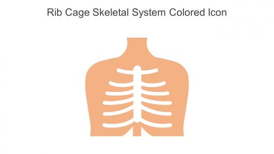 Rib Cage Skeletal System Colored Icon In Powerpoint Pptx Png And Editable Eps Format