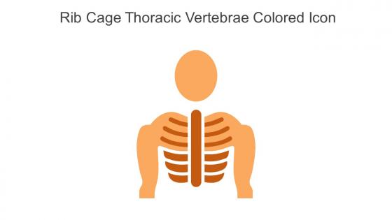 Rib Cage Thoracic Vertebrae Colored Icon In Powerpoint Pptx Png And Editable Eps Format