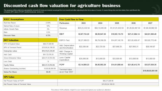 Rice Farming Business Discounted Cash Flow Valuation For Agriculture Business BP SS