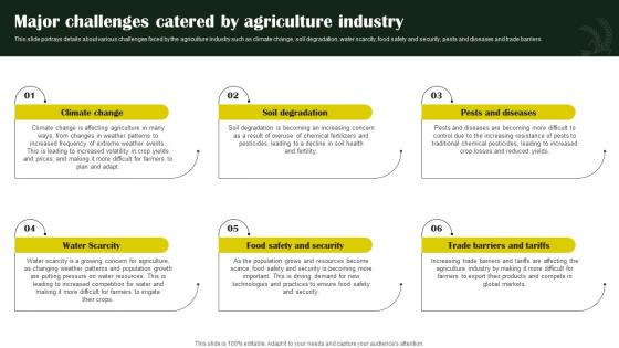 Rice Farming Business Major Challenges Catered By Agriculture Industry BP SS