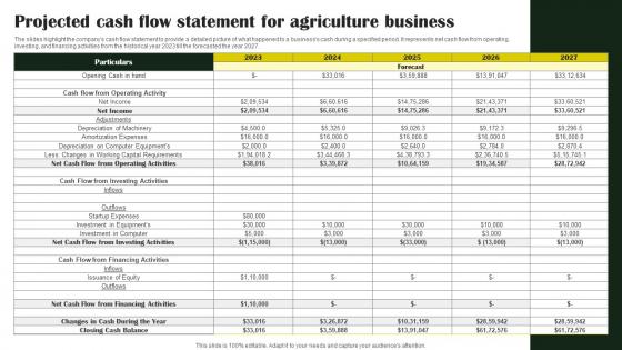 Rice Farming Business Projected Cash Flow Statement For Agriculture Business BP SS