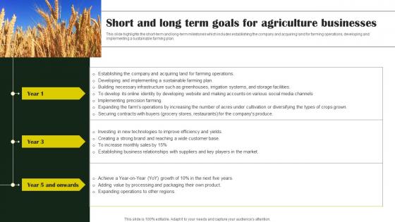 Rice Farming Business Short And Long Term Goals For Agriculture Businesses BP SS