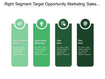 Right segment target opportunity marketing sales tools training