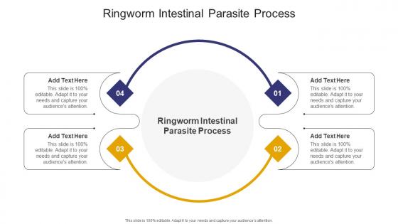 Ringworm Intestinal Parasite Process In Powerpoint And Google Slides Cpb