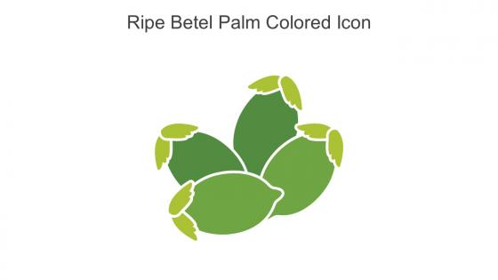 Ripe Betel Palm Colored Icon In Powerpoint Pptx Png And Editable Eps Format