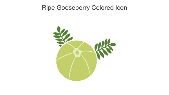 Ripe Gooseberry Colored Icon In Powerpoint Pptx Png And Editable Eps Format