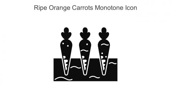 Ripe Orange Carrots Monotone Icon In Powerpoint Pptx Png And Editable Eps Format