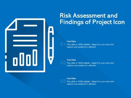 Risk assessment and findings of project icon