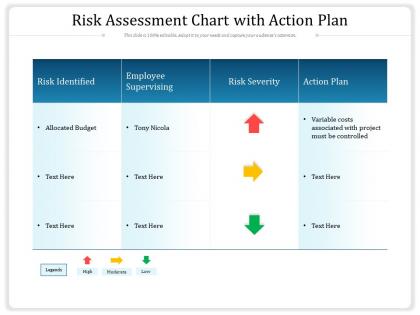 Risk assessment chart with action plan