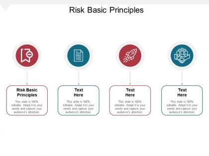 Risk basic principles ppt powerpoint presentation visual aids portfolio cpb