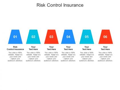 Risk control insurance ppt powerpoint presentation icon files cpb