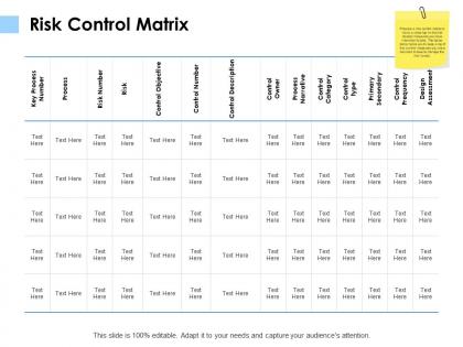 Risk control matrix owner process ppt powerpoint presentation slides show