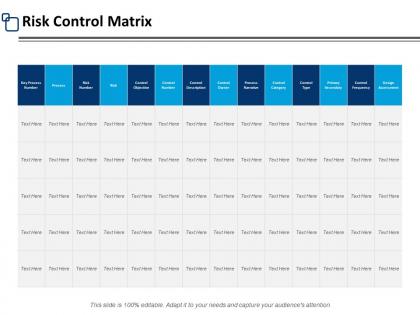Risk control matrix process ppt powerpoint presentation pictures slides