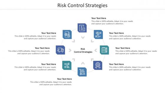 Risk Control Strategies Ppt Powerpoint Presentation Show Design Ideas Cpb