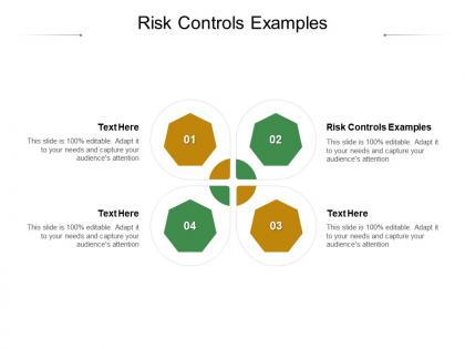 Risk controls examples ppt powerpoint presentation portfolio designs download cpb