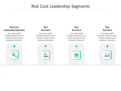 Risk cost leadership segments ppt powerpoint presentation professional designs download cpb