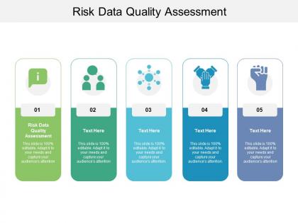 Risk data quality assessment ppt powerpoint presentation layouts master slide cpb