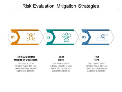 Risk evaluation mitigation strategies ppt powerpoint presentation professional cpb