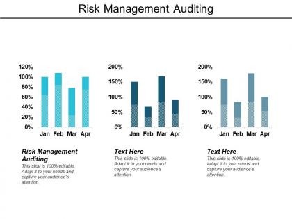 Risk management auditing ppt powerpoint presentation model display cpb