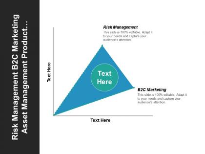 Risk management b2c marketing asset management product innovation development cpb