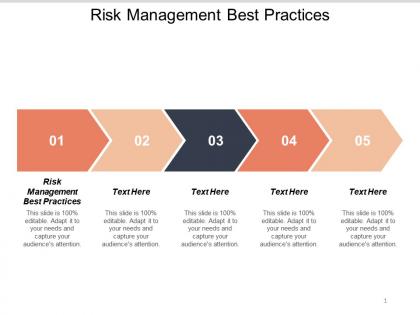 Risk management best practices ppt powerpoint presentation summary graphics cpb