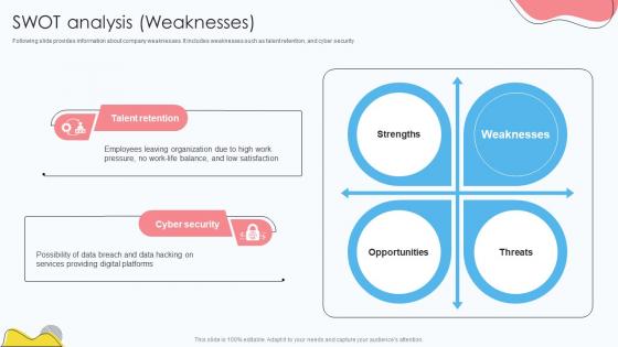 Risk Management Company Profile SWOT Analysis Weaknesses CP SS V