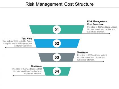 Risk management cost structure ppt powerpoint presentation file model cpb