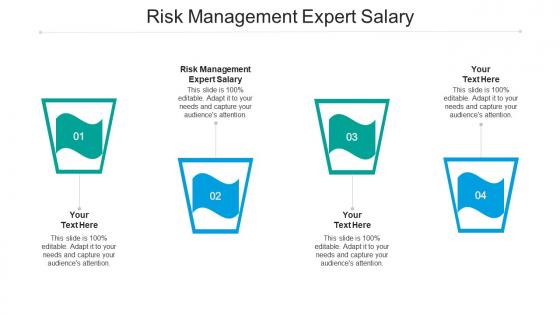 Risk management expert salary ppt powerpoint presentation professional gallery cpb
