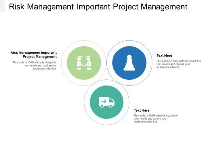 Risk management important project management ppt powerpoint presentation inspiration slide cpb
