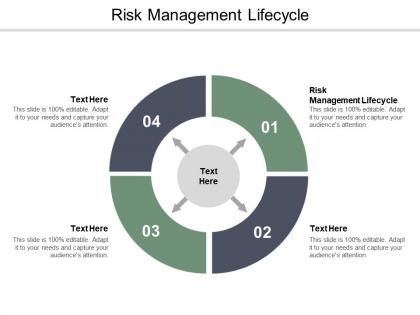 Risk management lifecycle ppt powerpoint presentation inspiration example file cpb