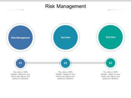Risk management ppt powerpoint presentation outline show cpb