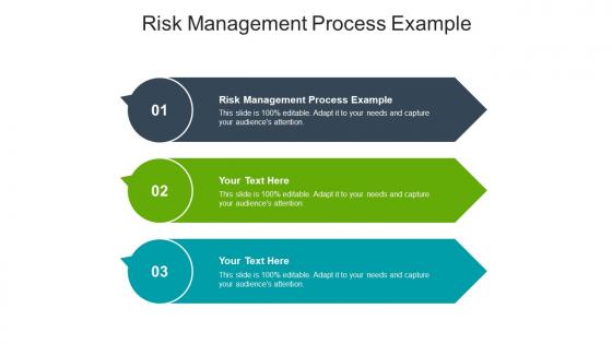 Risk management process example ppt powerpoint presentation inspiration cpb