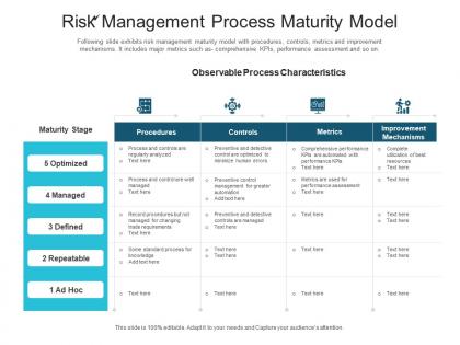 Risk management process maturity model