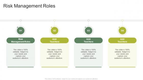 Risk Management Roles In Powerpoint And Google Slides Cpb